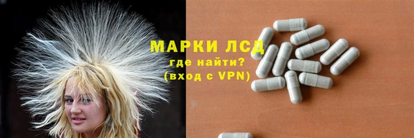 spice Аркадак