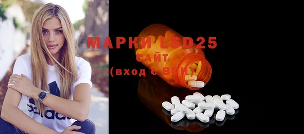 spice Аркадак