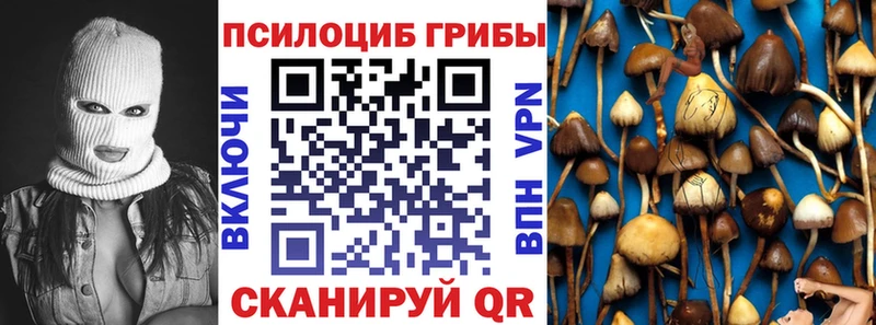 закладки  Малоярославец  Галлюциногенные грибы Magic Shrooms 